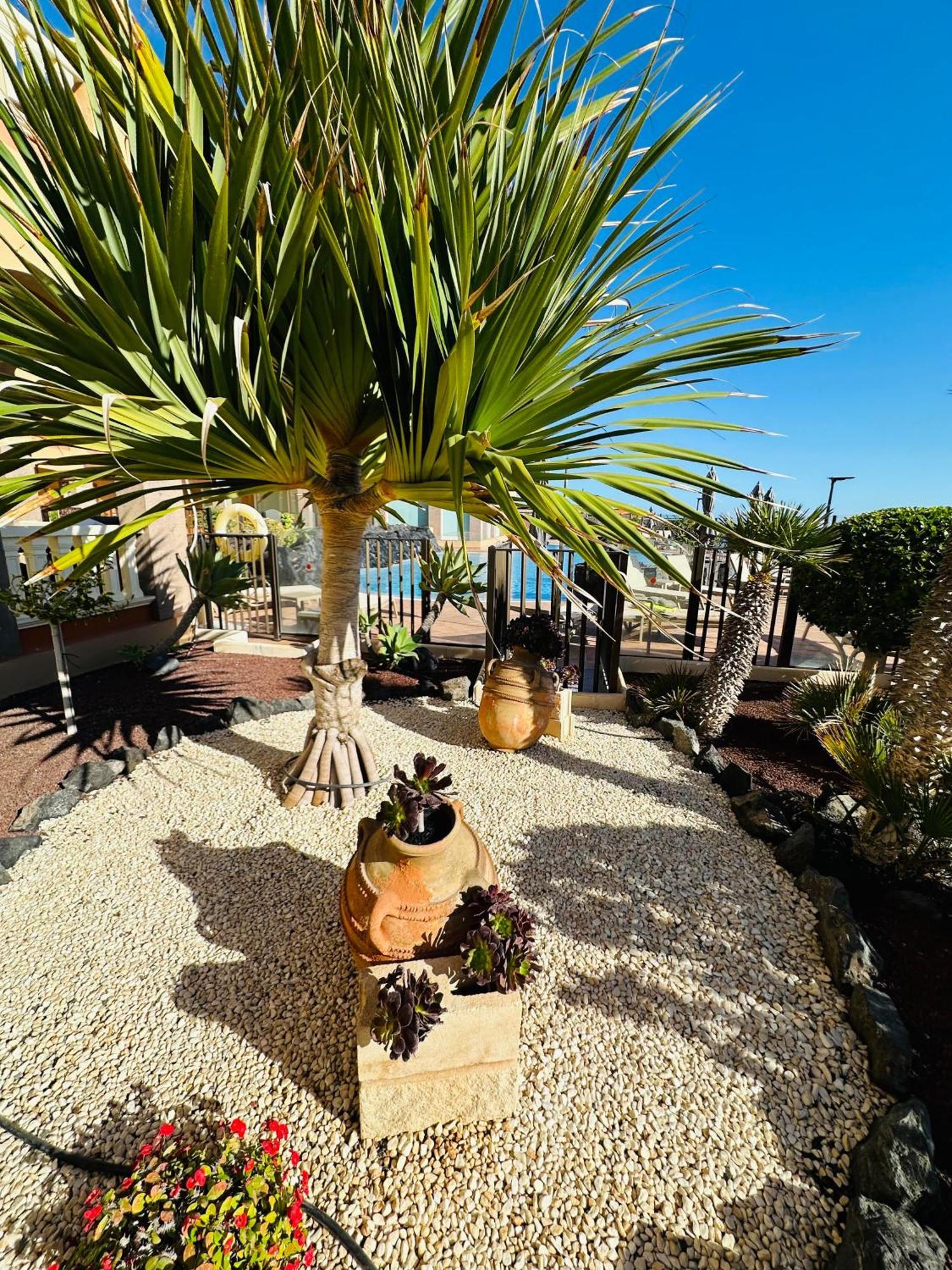 El Nautico Coral Suites Сан Мигел де Абона Екстериор снимка