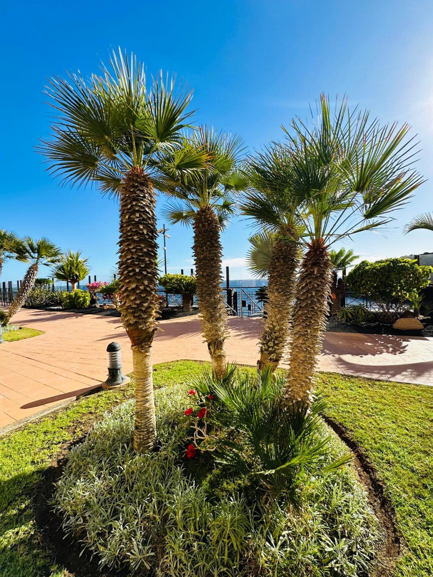 El Nautico Coral Suites Сан Мигел де Абона Екстериор снимка